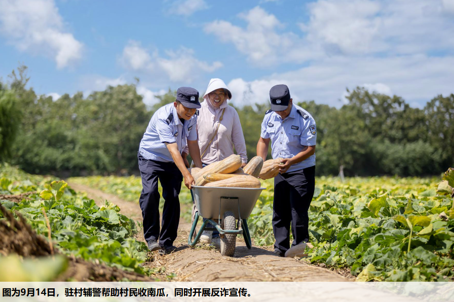 安徽省亳州市谯城公安分局十河派出所驻村辅警深入十河镇大周村田间地头以实际行动助力秋收