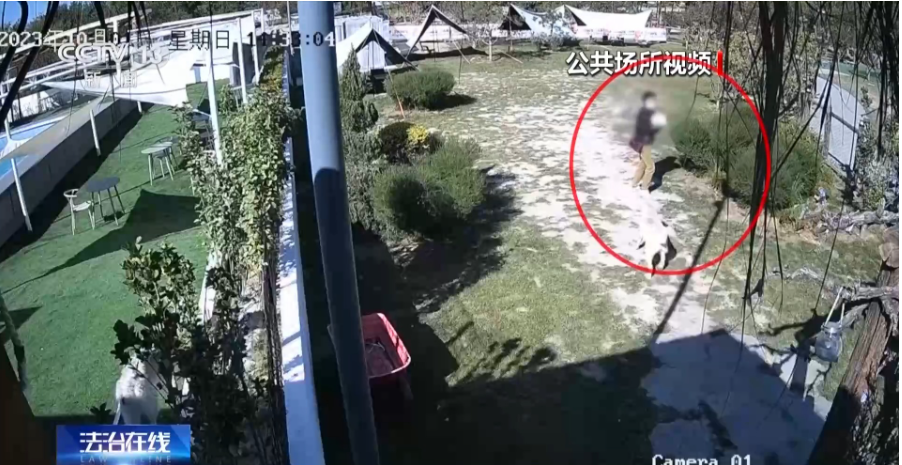 宠物乐园里被犬只扑伤 能索赔吗？